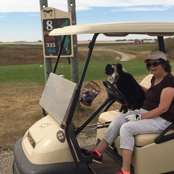 Meet your Posher, Morleen - Picture 1 of 1